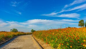 錦江湾公園2 女子旅部のおすすめ観光 旅らぶ