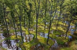 アートビオトープ水庭 アートビオトープ水庭