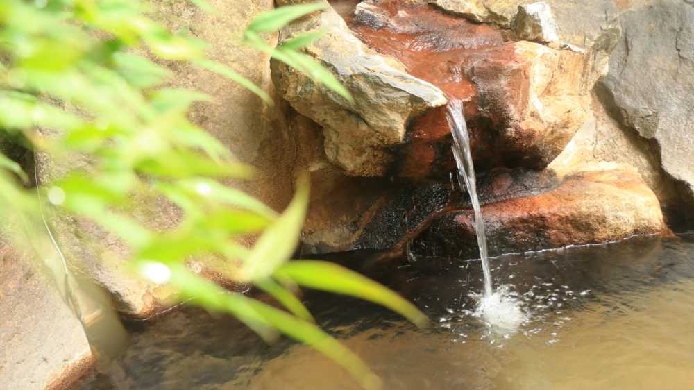 新平湯温泉せいがくかんの宿泊ブログ